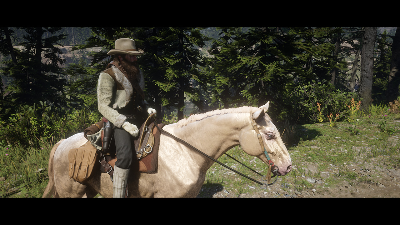 Red Dead Redemption 2 20181103162253