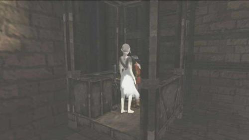 The Ico & Shadow of the Colossus Collection