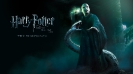 Harry Potter 7 P2 Mb-Empire.com