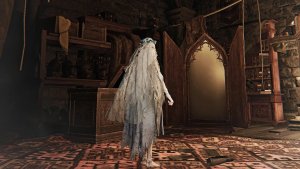 قابلیت تغییر لباس در Nightreign تأیید شد